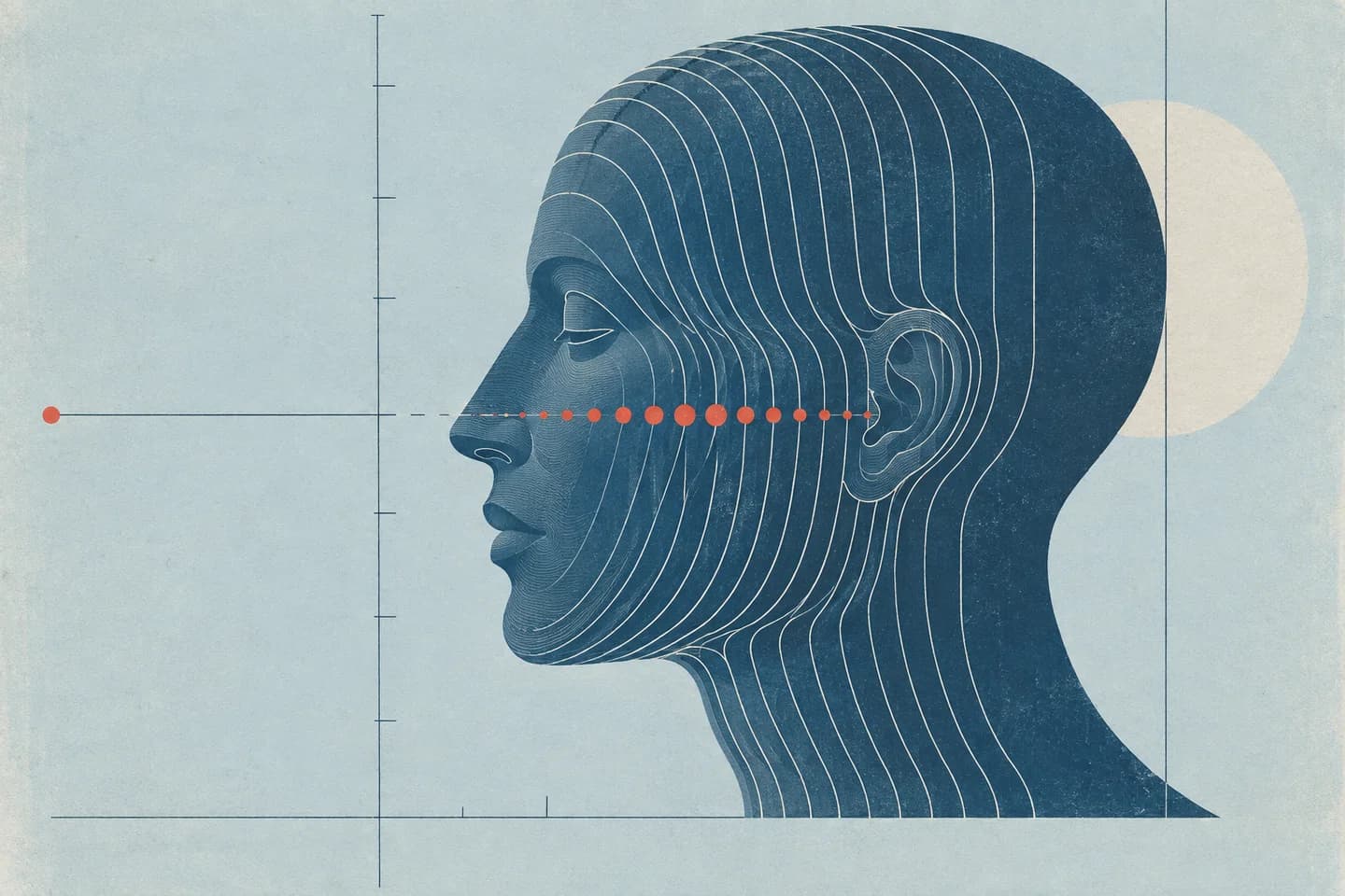 A printed human profile with contour lines and a row of measurement dots.