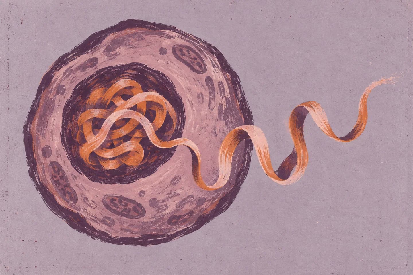 A painted cell with a chromatin ribbon unfurling from its nucleus.